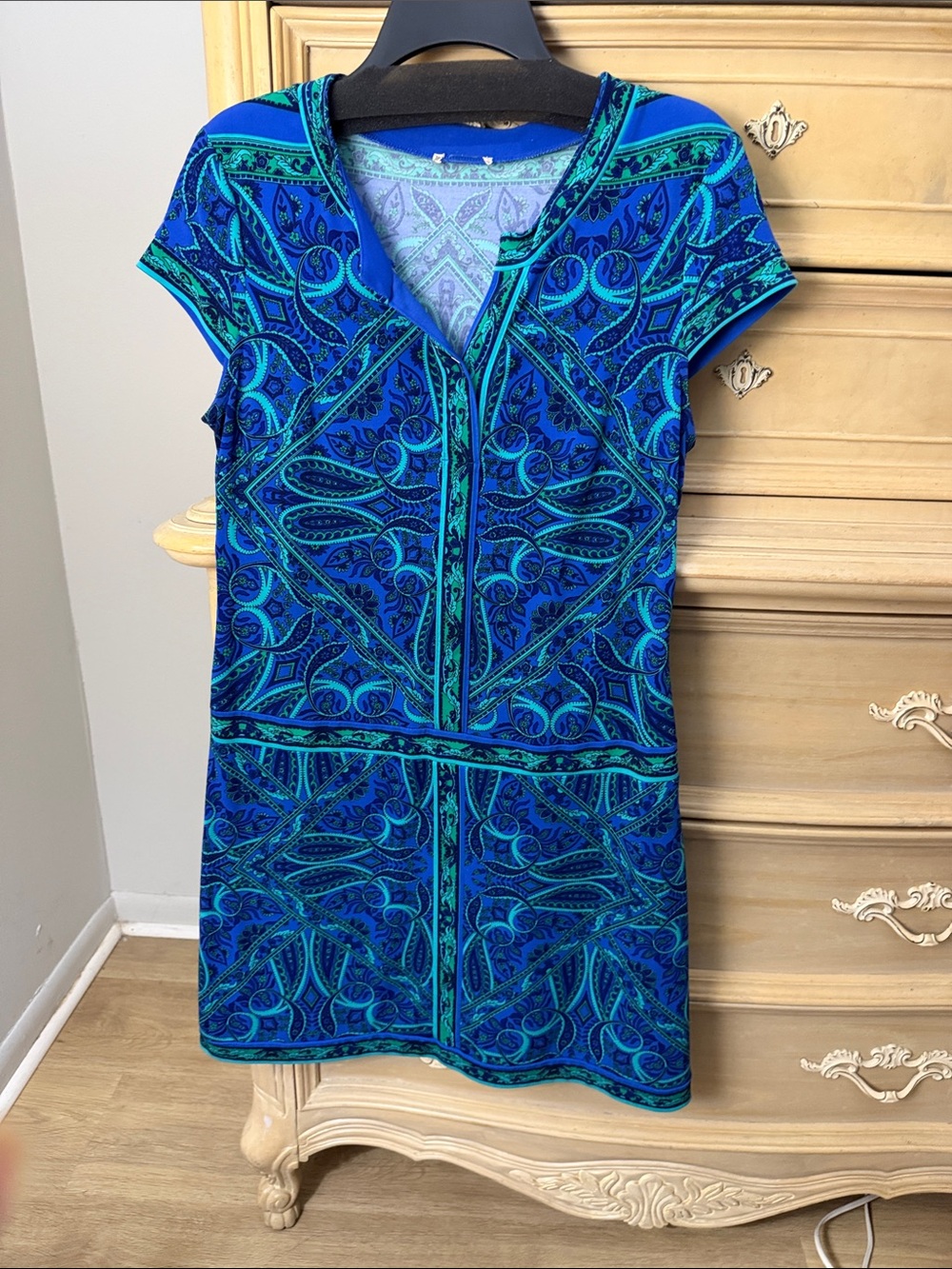 Cashe dress